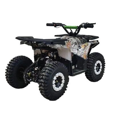 Powerful 125cc Gasoline Adult ATV Quad Bike with 12V Voltage and Curb Weight of 100-200kg