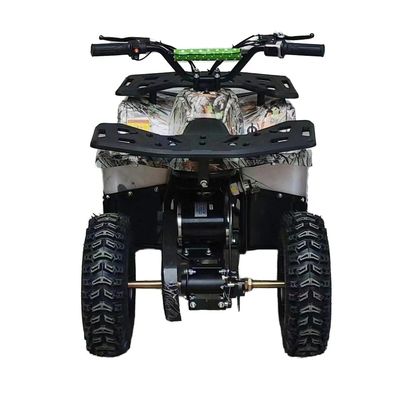 Powerful 125cc Gasoline Adult ATV Quad Bike with 12V Voltage and Curb Weight of 100-200kg