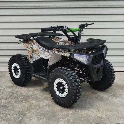 125CC ATV 4 Wheeler Quad Motorcycle with 8inch Tyre and Front Disc Rear Disc Brake System