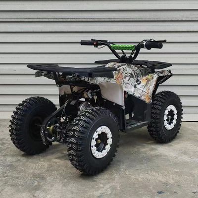 125CC ATV 4 Wheeler Quad Motorcycle with 8inch Tyre and Front Disc Rear Disc Brake System