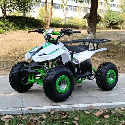 1250*760*800MM 110CC Displacement Kids ATV with Electric Start and Chain Drive