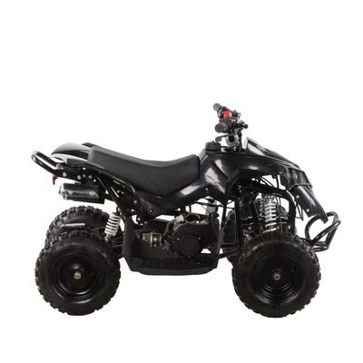 49CC 2 Stroke Aluminum Easy Pull Starter CE Approved Kids Quad Bike Tire Size 3.0-4