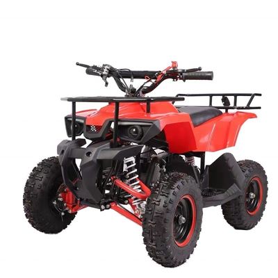 CE Certified 49cc 4 Stroke Gas Powered Kids Quad Bike with Disc Brake and High Voltage