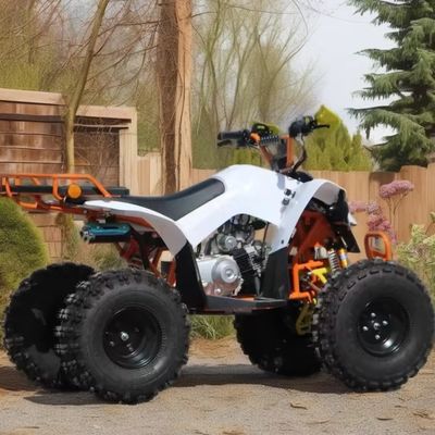 110cc-125cc Automatic ATV for Adults CE Approved 8inch Tire Gasoline Quadbike Big Wheels