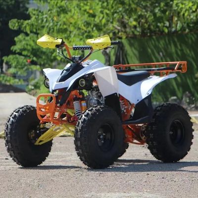 110cc-125cc Automatic ATV for Adults CE Approved 8inch Tire Gasoline Quadbike Big Wheels