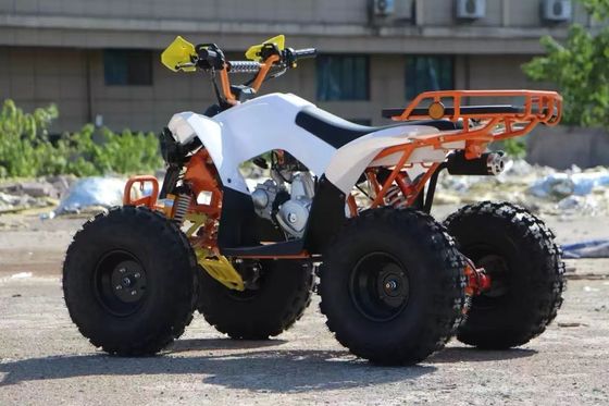 110cc-125cc Automatic ATV for Adults CE Approved 8inch Tire Gasoline Quadbike Big Wheels