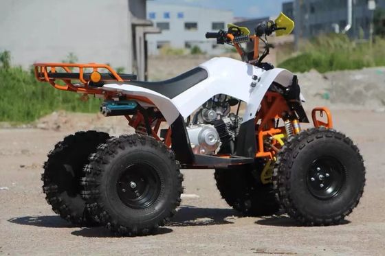 Kids' Economical 110cc Automatic Chain Drive ATV with Front Drum and Rear Disc Brakes