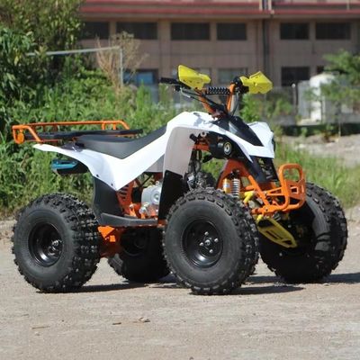 Kids' Economical 110cc Automatic Chain Drive ATV with Front Drum and Rear Disc Brakes