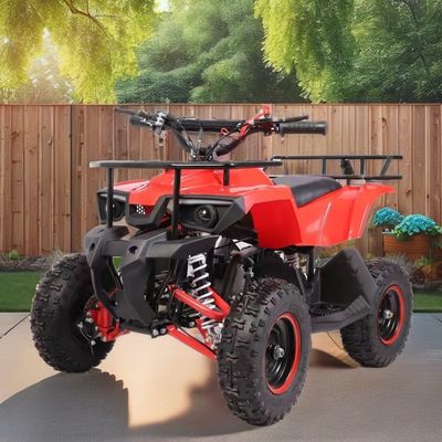 49CC Mini Quad with Low Fuel Consumption Maximum Torque Nm ≤20Nm Fuel Gas / Diesel