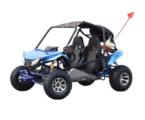 200cc Go Karts ATV Quad 2WD Off-Road Buggy with Vacuum Tires and 200-300kg Curb Weight
