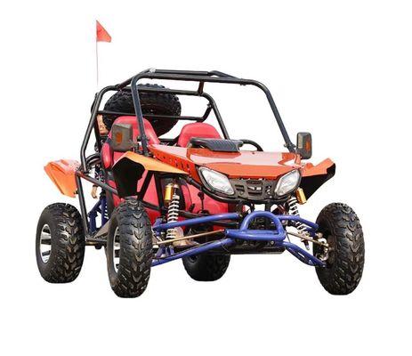 200cc Go Karts ATV Quad 2WD Off-Road Buggy with Vacuum Tires and 200-300kg Curb Weight