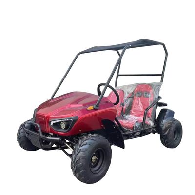 Two Seats Electric Go Cart with Front Disc Rear Disc Brake System and 60V Voltage