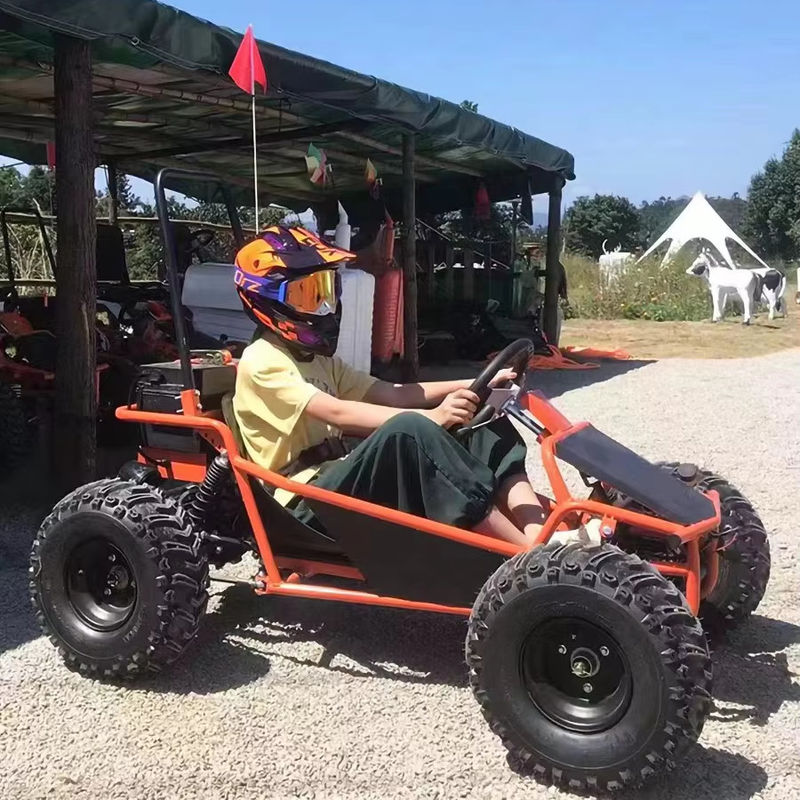 Amusement Park Rental Golf Buggy Cart with 1000W Brushless Motor and EEC Certification