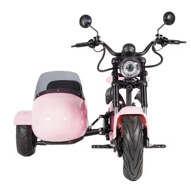 Electric Sidecar Motorcycle with Pet Carrier 1000W-3000W 60-80km Range 41-50km/h Max Speed