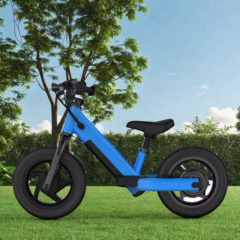 Electric Powered Kids Balance Bike Mini Bike Disc Brake and Steel Frame for Toddlers