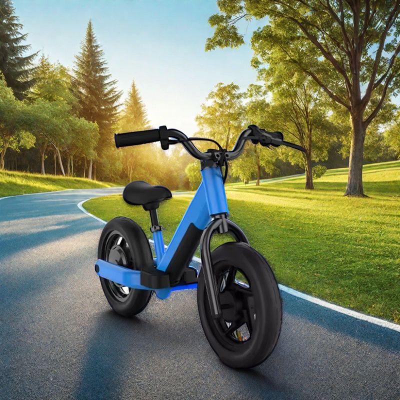 Off-Road Adventure Made Easy with 200W Electric Dirt Bike and Battery Capacity of 24V
