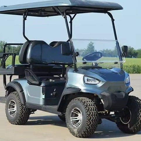 Customized Off 3500W Road Electric Lifted Golf Cart with 5-7h Charge Time and Support