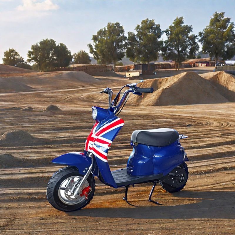 DISC Brake 49cc Gas Powered Mini Dirt Bike for Kids' Outdoor Fun in Customized Colors