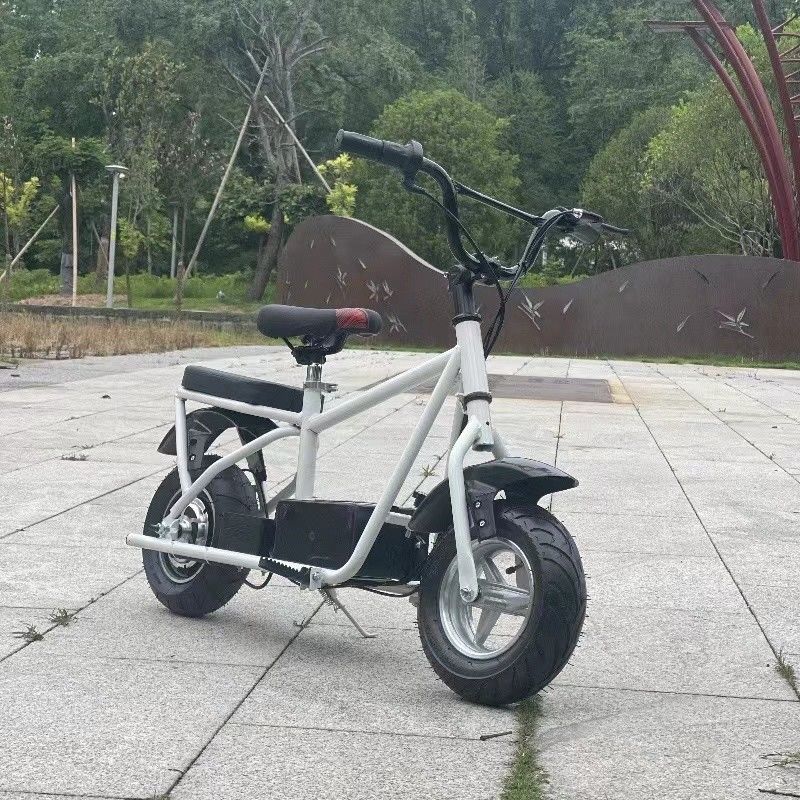 Elevate Your 10-Year-Old's Cycling Experience with this 24V8AH Battery Mountain Bike