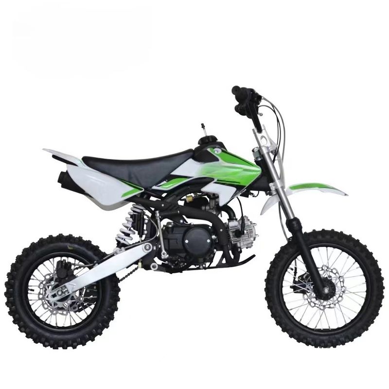 Customzied Colors Supported 125cc Pit Bike Motorcycle with Eletric Start Efficiency