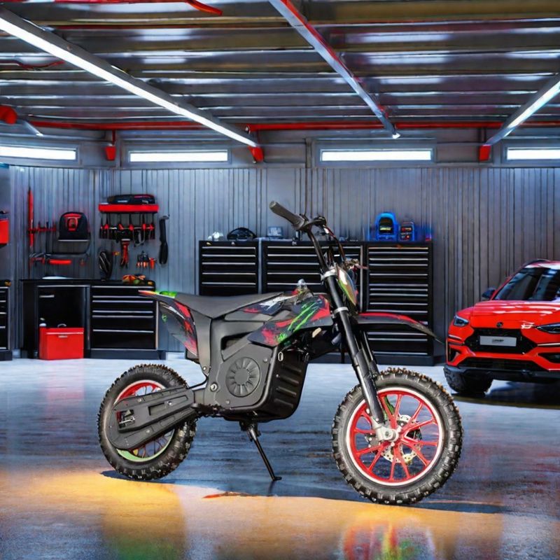 48V 60V 1200W1600W 2000W Electric Dirt Bike with FRONT AND REAR MECHANICAL DISC BRAKE