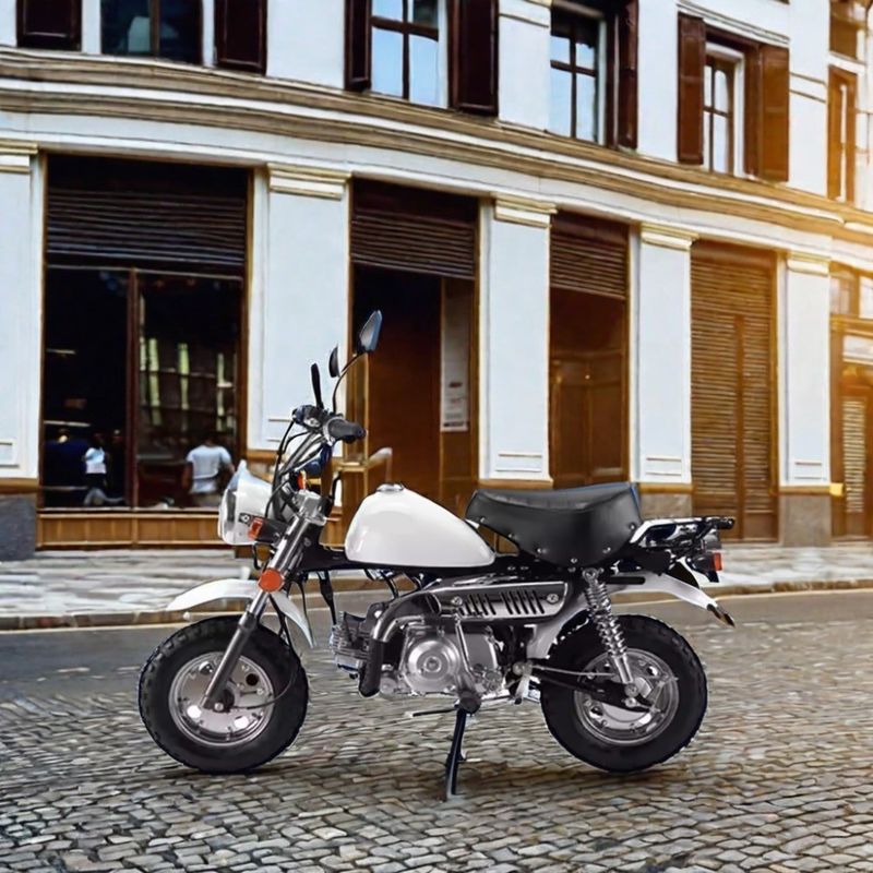 Off-Road Adventure 110cc Monkey Bike with CE Certificate and Customized Colors Supported