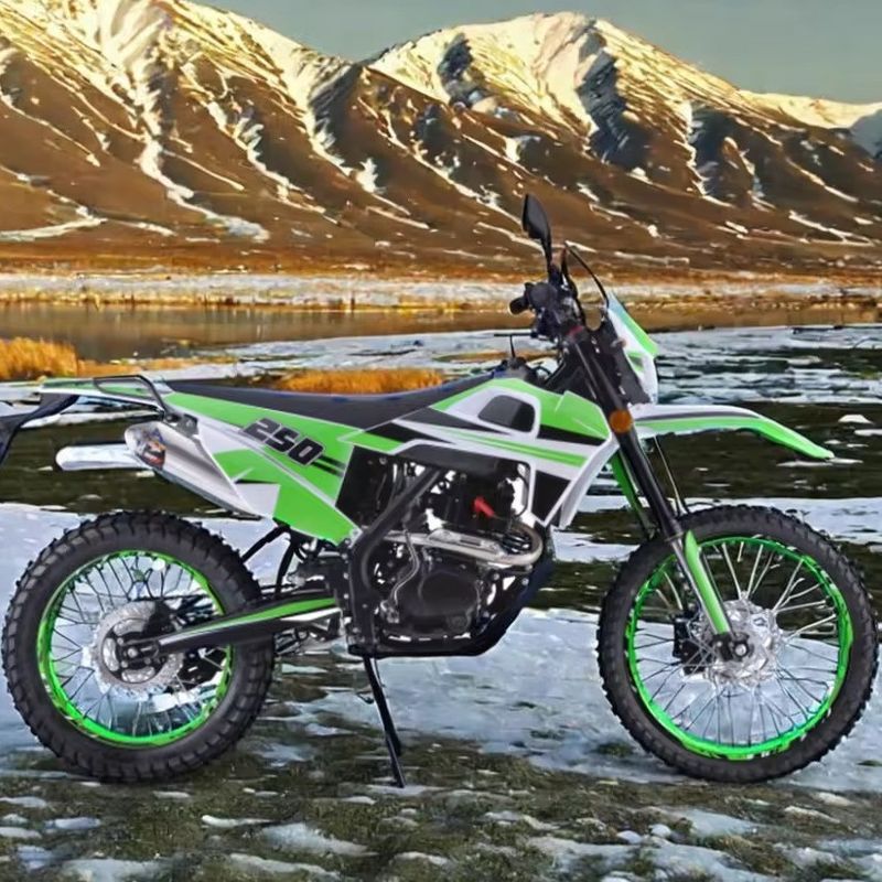 250cc Engine Customized Colors Supported Off-Road Gasoline Dirt Bike for Adults