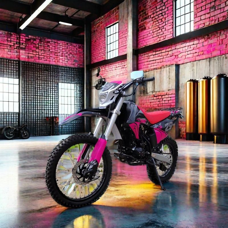 Take Your Off-Road Riding to the Next Level with Our 250cc Moto Racing Dirt Bike