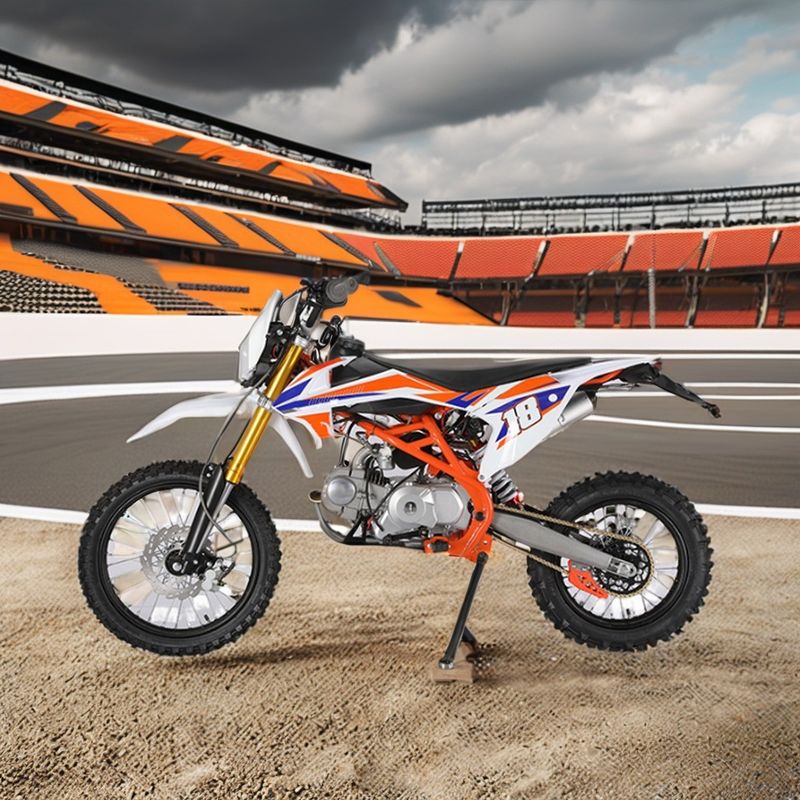 Adult Gas 190cc 125cc Dirt Bike Racing Off Road Motorcycle Motocross 160cc 250cc