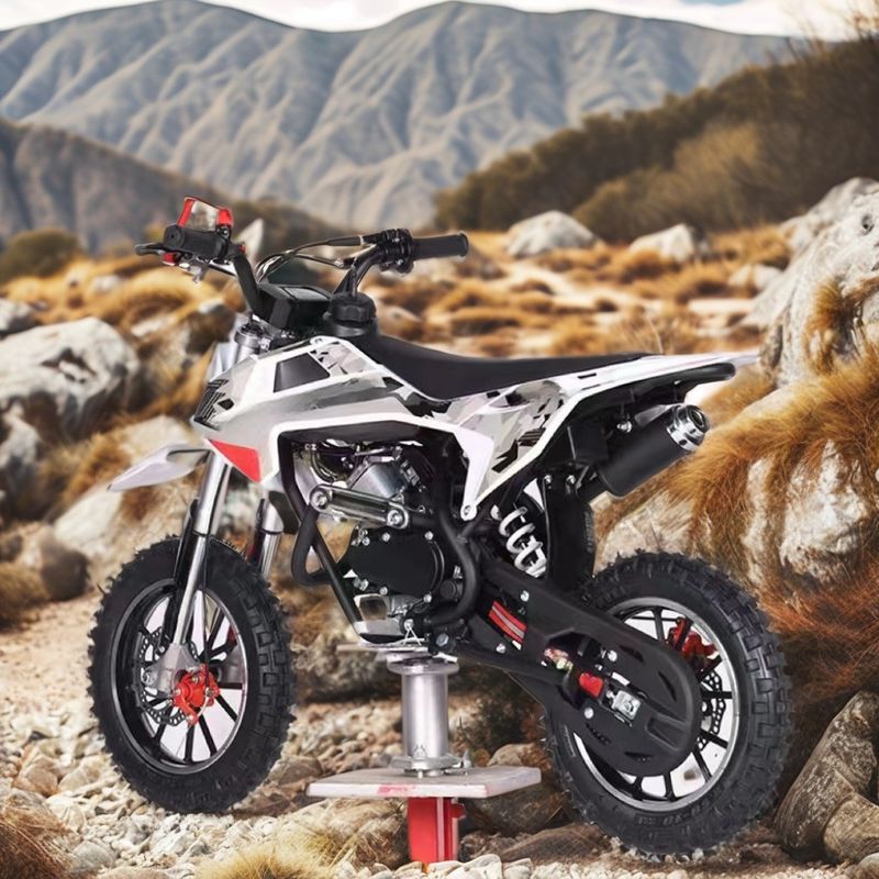 Customzied Supported Colors 60CC Engine 4 Stroke Children's Dirt Bike with DISC Brake