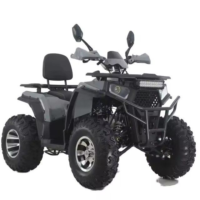 Aotong GY6 Motor 200CC/250CC Automatic Quad Bike for Adults 10INCH/12INCH Farm ATV