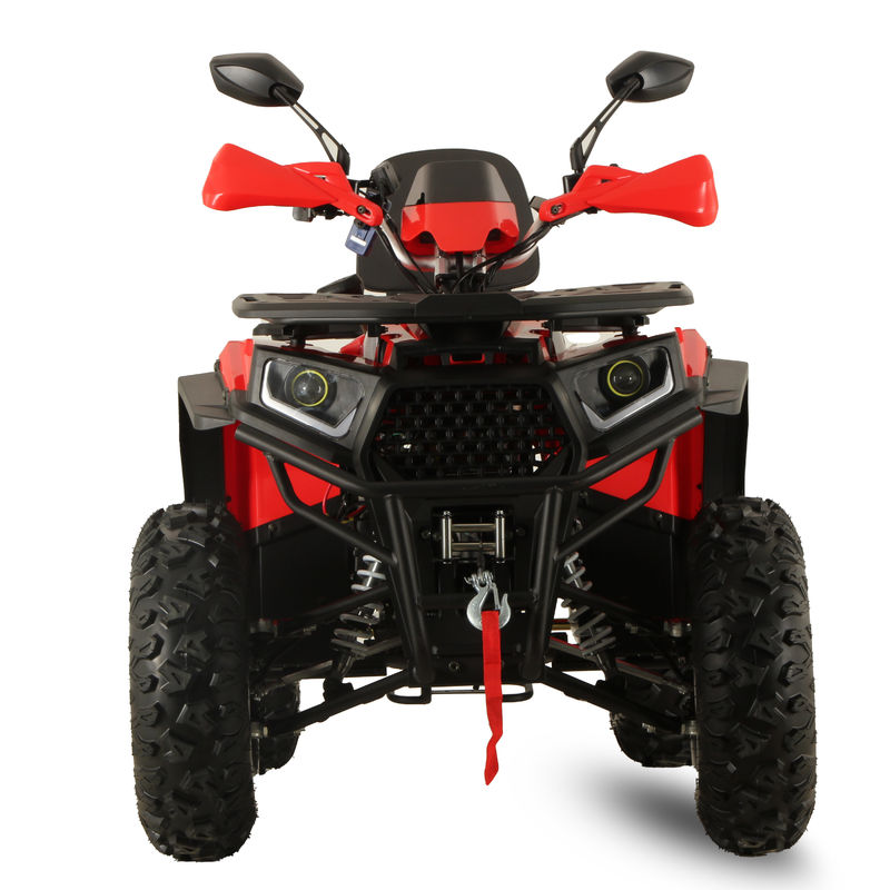 High Power GY6 200CC/250CC Automatic Quad Bike for Adults 10INCH Farm ATV Off Road