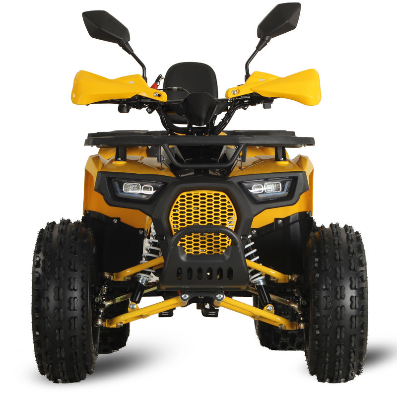 125CC ATV Racing Buggy Quadricycle with 12V Voltage and Smooth Automatic Transmission