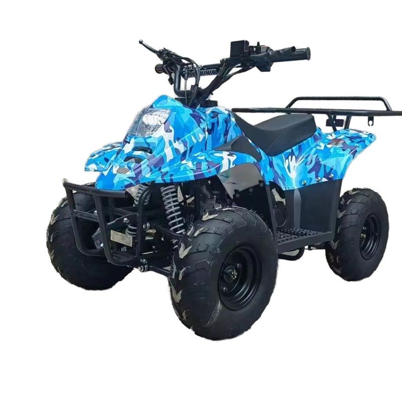 125CC All-Terrain Beach Buggy Fuel Gas 70CC/110CC Automatic Quad ATV Buggy for Teens Racing
