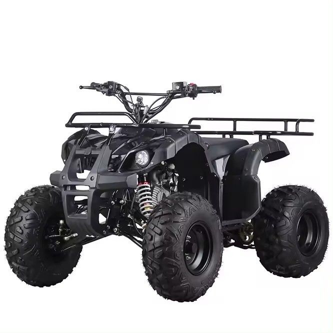 125cc 110cc Kids Atv Quad Mini Quad Motor Bike for Children Reverse Budget-friendly
