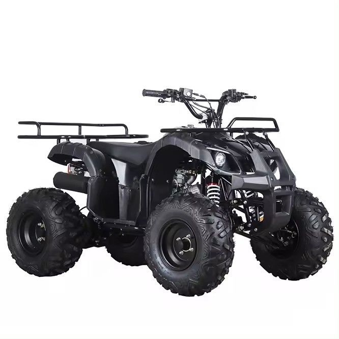 Chain Drive 110cc/125cc 4 Stroke All-Terrain Four-Wheel Beach Buggy Gasoline Quadbike