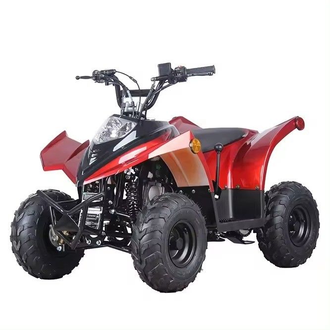 125cc ATV 110cc/70cc Automatic 4 Stroke Suitable for 25° Grade Ability and Affordable