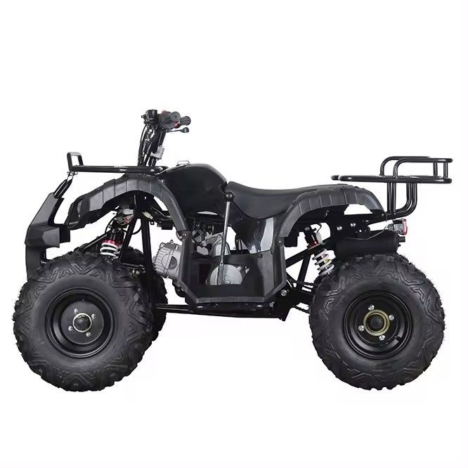 110cc 125cc ATV with Automatic Chain Drive Aotong's Compact Design Chinese Product