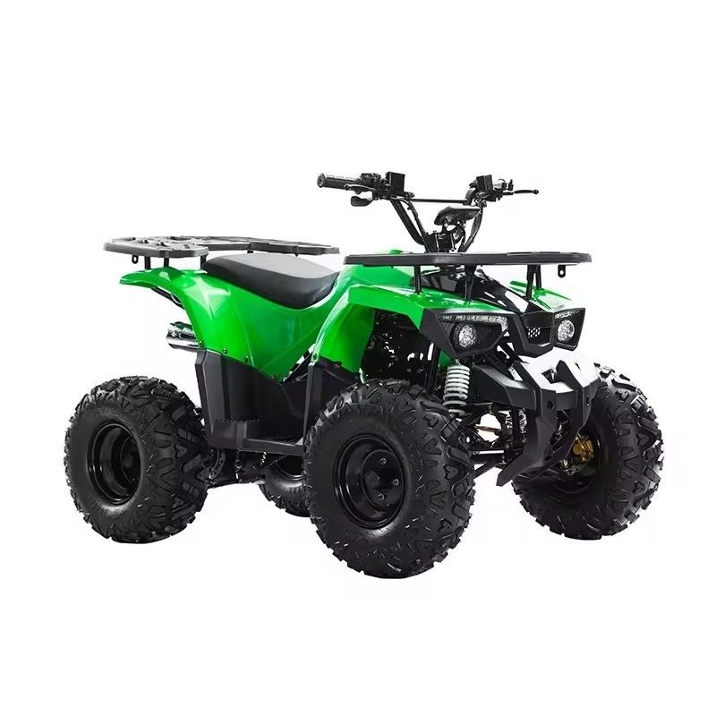 110CC 125cc Chain Drive ATV with CE Certificate Maximum Speed 50-75Km/h and Materials