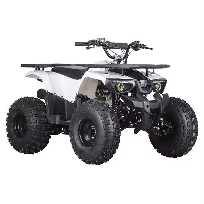 110cc-150cc Engine Racing ATV Kids Quadbike for Farm Maximum Torque ≤20Nm
