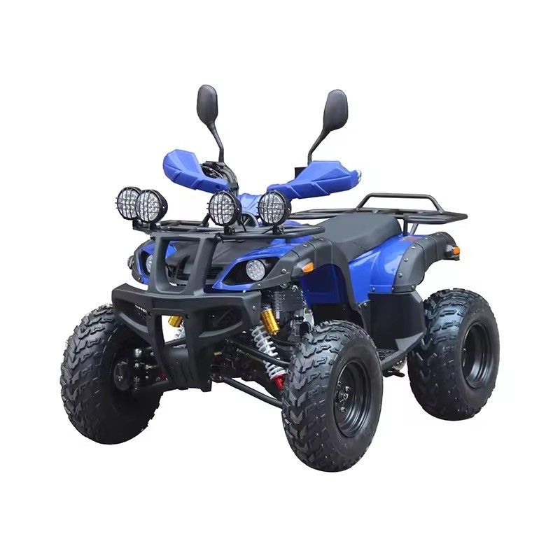 12V Voltage Adults Quads Petrol 150cc Four-wheeled Quadricycle with Brushless Motor