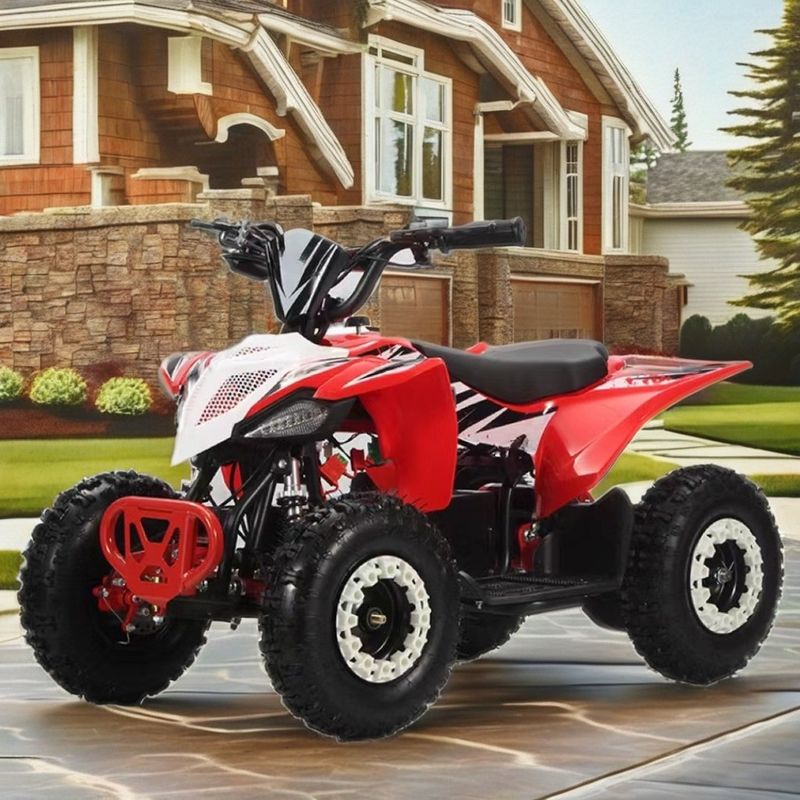 36V Kids Quad Electric 1000w Atv 125cc 6inch Automatic Quad Motorcycle for Children 2WD
