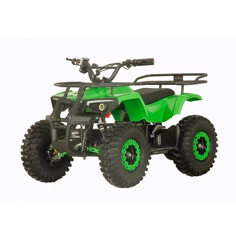 Street Legal 1200W ATV Four Wheels Quad Bike with 2WD and 30-50km Driving Mileage