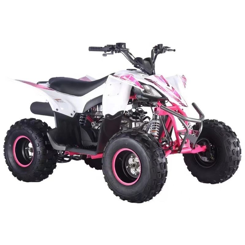 125cc Aotong Motor ATV Farm Quad Bike Automatic Transmission Custom Colors Supported