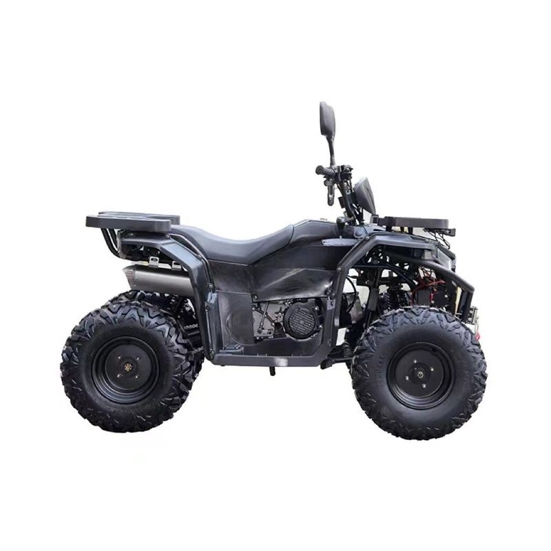 150cc Engine Customized Steel Tube Automatic Atv Utv Parts Accessories for Two People