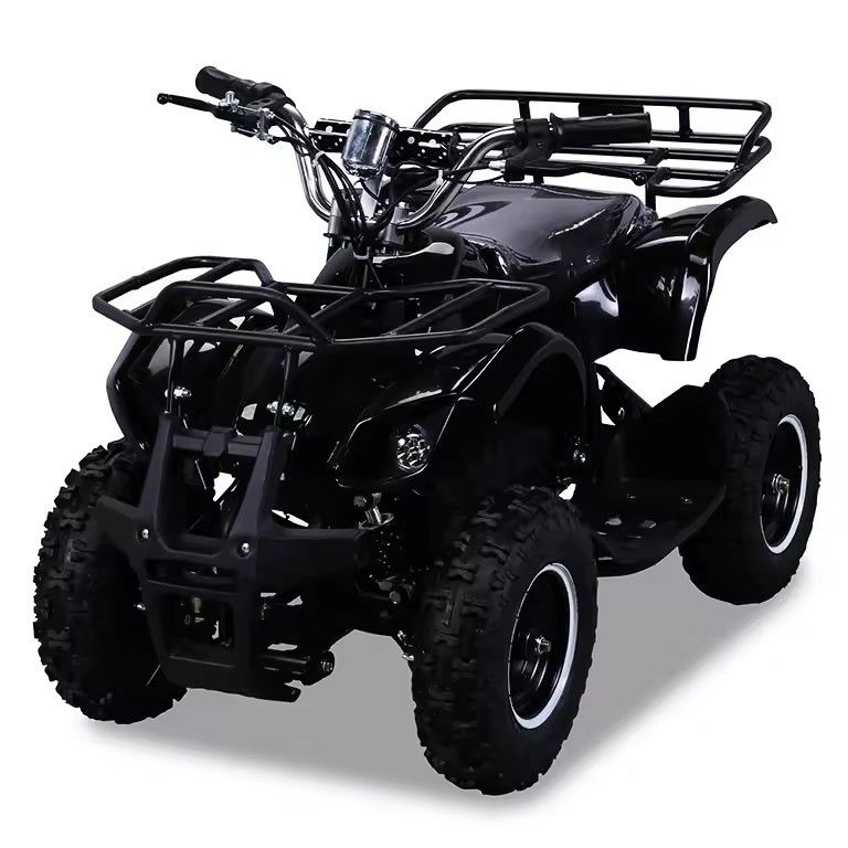 600-1000mm Wheelbase 36V 800W Mini Electric ATV with CE and CHAIN DRIVE Transmission
