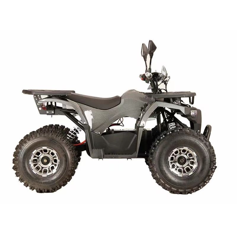 Customizable Colors Electric Quad 1000w48V20Ah with Front Disc Rear Disc Brake System