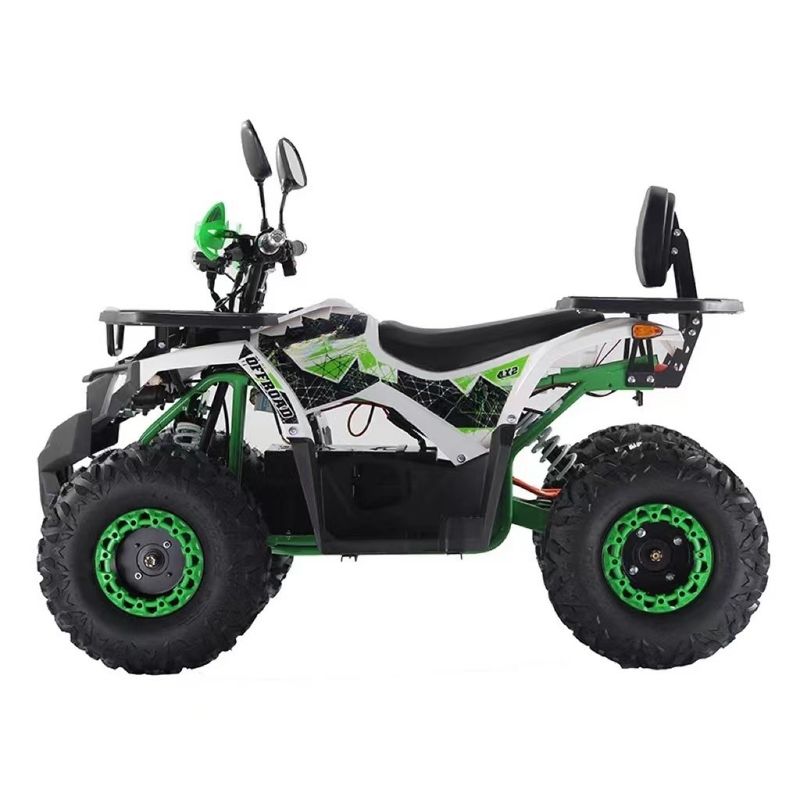2WD Driving Type Aotong Motor 1000W Electric Side by Side ATV with 60V 20AH Battery