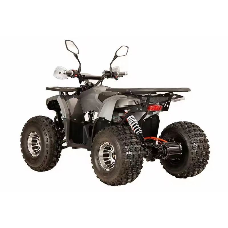 Maximum Speed ≤50Km/h Electric Start Mini Electric ATV with Customized Colors Supported