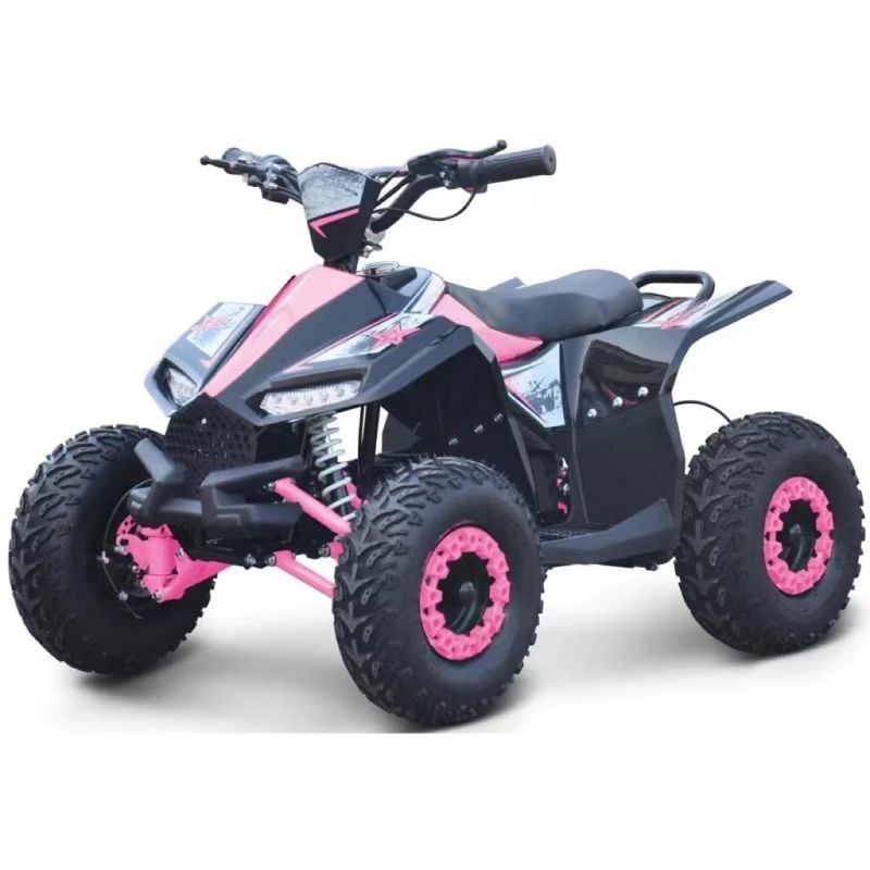 Maximum Torque of 40-60Nm 1000W Electric Side by Side ATV for Unbeatable Performance